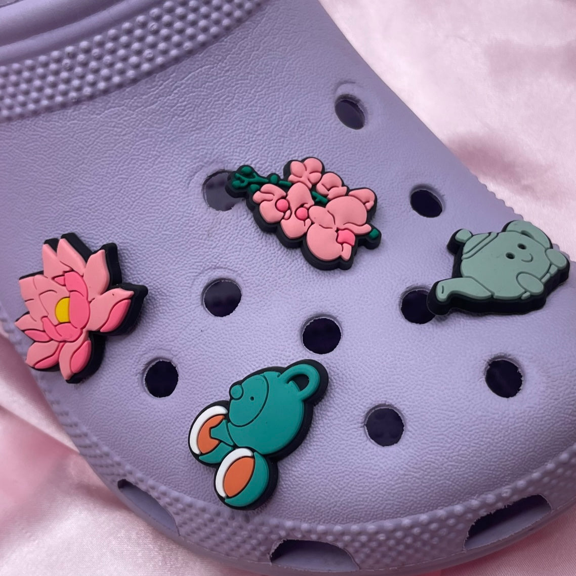 Croc charms
