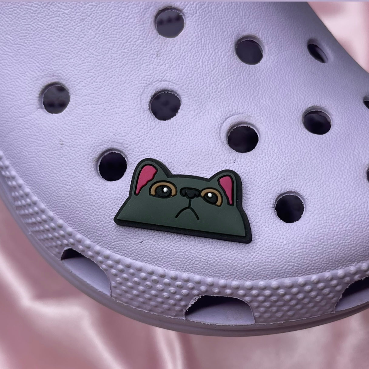 cat croc charm