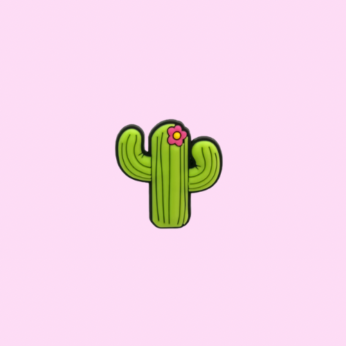 Cactus Shoe Charm